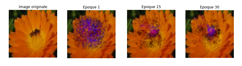 bias ai model