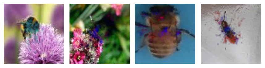 bias ai model