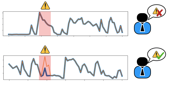 detection of false and true anomalies by an expert